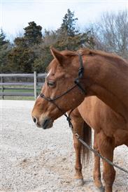 LR-WRF 0402026 Retreat-3070